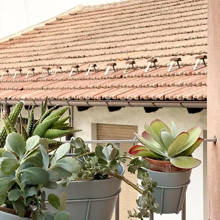 شقة Domus ألبا