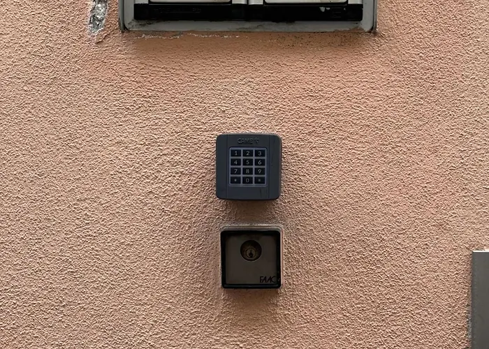 Domus